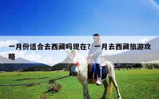 一月份适合去西藏吗现在？一月去西藏旅游攻略