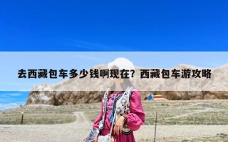去西藏包车多少钱啊现在？西藏包车游攻略