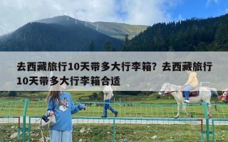 去西藏旅行10天带多大行李箱？去西藏旅行10天带多大行李箱合适