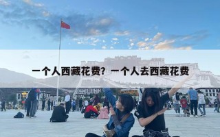 一个人西藏花费？一个人去西藏花费