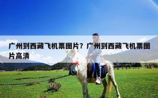 广州到西藏飞机票图片？广州到西藏飞机票图片高清