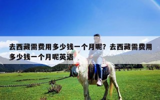 去西藏需费用多少钱一个月呢？去西藏需费用多少钱一个月呢英语