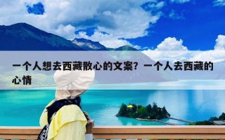 一个人想去西藏散心的文案？一个人去西藏的心情