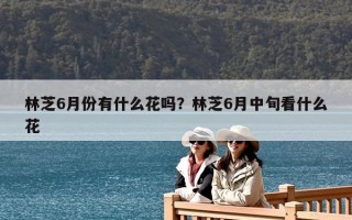 林芝6月份有什么花吗？林芝6月中旬看什么花