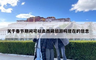 关于春节期间可以去西藏旅游吗现在的信息