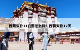 西藏双卧11日游怎么样？西藏双卧12天