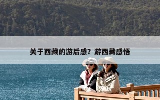 关于西藏的游后感？游西藏感悟