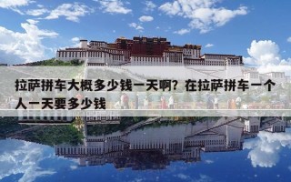 拉萨拼车大概多少钱一天啊？在拉萨拼车一个人一天要多少钱