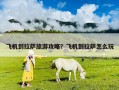 飞机到拉萨旅游攻略？飞机到拉萨怎么玩