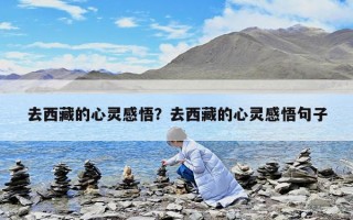 去西藏的心灵感悟？去西藏的心灵感悟句子