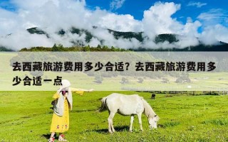 去西藏旅游费用多少合适？去西藏旅游费用多少合适一点