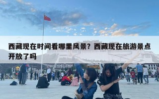 西藏现在时间看哪里风景？西藏现在旅游景点开放了吗