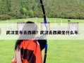 武汉坐车去西藏？武汉去西藏坐什么车
