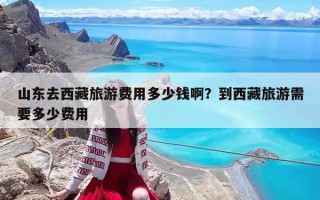 山东去西藏旅游费用多少钱啊？到西藏旅游需要多少费用