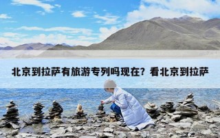 北京到拉萨有旅游专列吗现在？看北京到拉萨