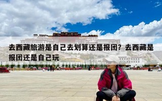 去西藏旅游是自己去划算还是报团？去西藏是报团还是自己玩