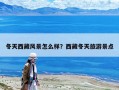 冬天西藏风景怎么样？西藏冬天旅游景点