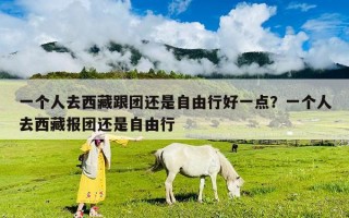 一个人去西藏跟团还是自由行好一点？一个人去西藏报团还是自由行