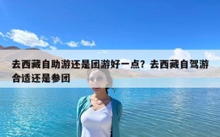 去西藏自助游还是团游好一点？去西藏自驾游合适还是参团