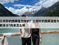 三月份的西藏是怎样的？三月份的西藏温度大概多少?风景怎么样