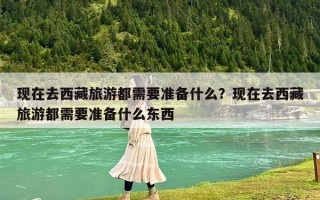 现在去西藏旅游都需要准备什么？现在去西藏旅游都需要准备什么东西