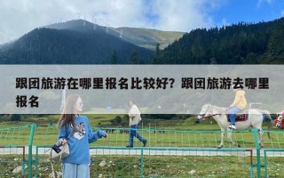 跟团旅游在哪里报名比较好？跟团旅游去哪里报名