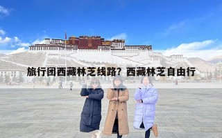 旅行团西藏林芝线路？西藏林芝自由行