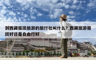 到西藏报团旅游的旅行社叫什么？西藏旅游报团好还是自由行好