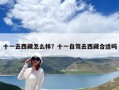 十一去西藏怎么样？十一自驾去西藏合适吗