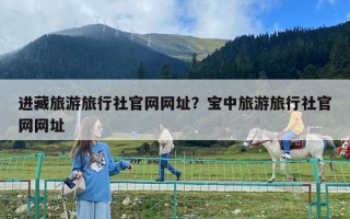进藏旅游旅行社官网网址？宝中旅游旅行社官网网址