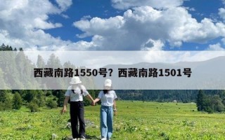 西藏南路1550号？西藏南路1501号