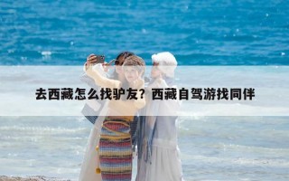 去西藏怎么找驴友？西藏自驾游找同伴