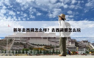 新年去西藏怎么样？去西藏要怎么玩