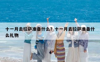 十一月去拉萨准备什么？十一月去拉萨准备什么礼物