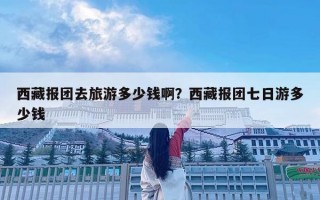 西藏报团去旅游多少钱啊？西藏报团七日游多少钱