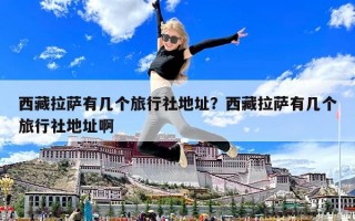 西藏拉萨有几个旅行社地址？西藏拉萨有几个旅行社地址啊