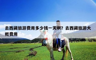 去西藏旅游费用多少钱一天啊？去西藏旅游大概费用