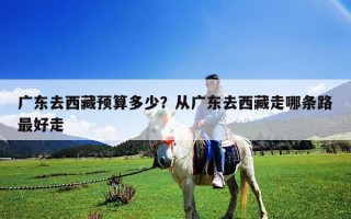 广东去西藏预算多少？从广东去西藏走哪条路最好走