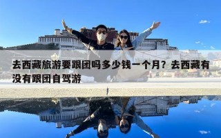 去西藏旅游要跟团吗多少钱一个月？去西藏有没有跟团自驾游