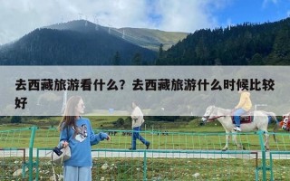 去西藏旅游看什么？去西藏旅游什么时候比较好