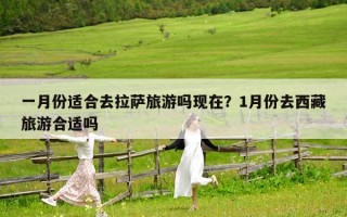 一月份适合去拉萨旅游吗现在？1月份去西藏旅游合适吗