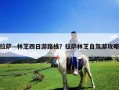 拉萨—林芝四日游路线？拉萨林芝自驾游攻略