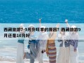 西藏旅游7-9月份旺季的原因？西藏旅游9月还是10月好