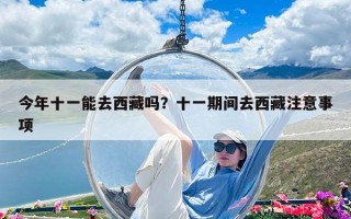 今年十一能去西藏吗？十一期间去西藏注意事项