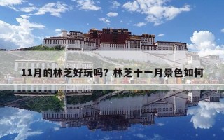 11月的林芝好玩吗？林芝十一月景色如何