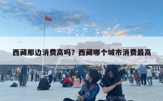 西藏那边消费高吗？西藏哪个城市消费最高