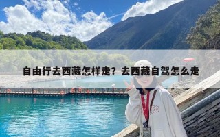 自由行去西藏怎样走？去西藏自驾怎么走