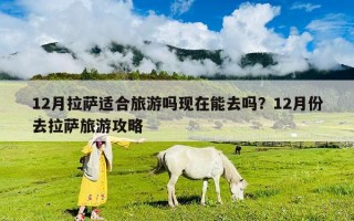 12月拉萨适合旅游吗现在能去吗？12月份去拉萨旅游攻略