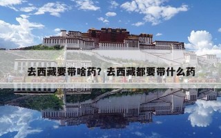 去西藏要带啥药？去西藏都要带什么药