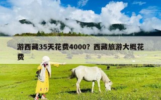 游西藏35天花费4000？西藏旅游大概花费